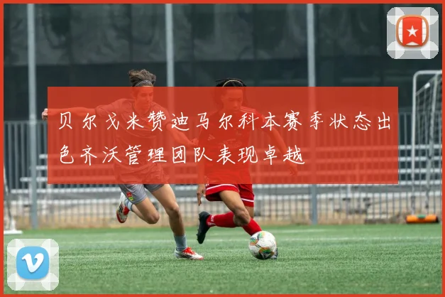 贝尔戈米赞迪马尔科本赛季状态出色齐沃管理团队表现卓越