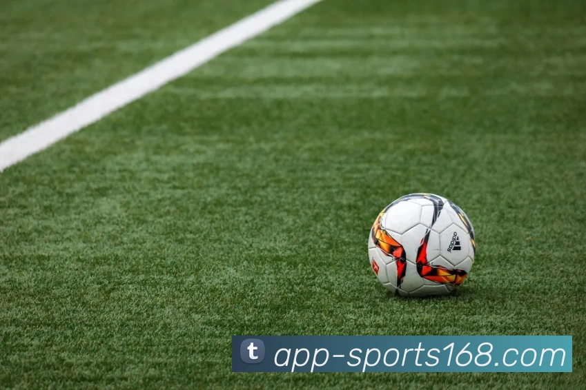 App Interface Preview