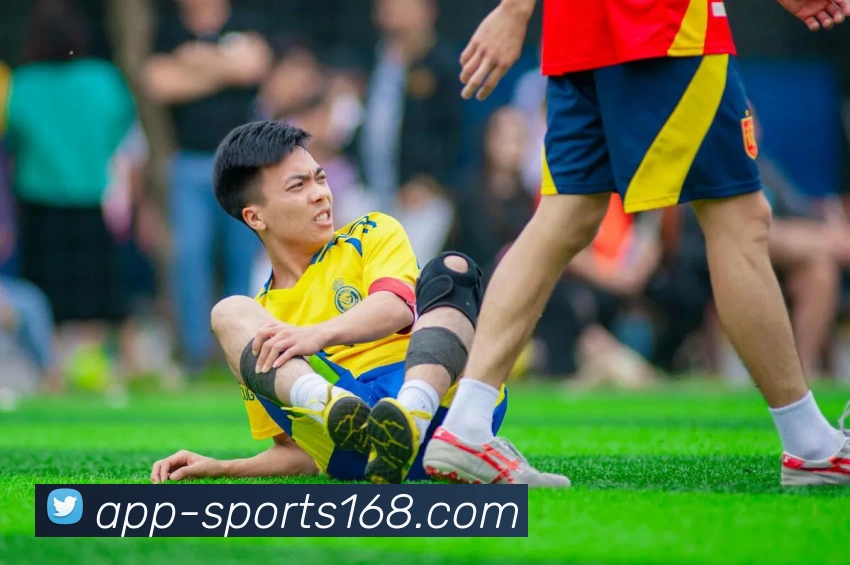 168体育APP 封面图